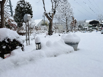 3���Ȃ̂ɁA���H�H